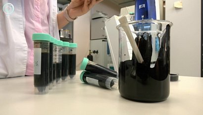 Новосибирские учёные улучшили свойства органических удобрений