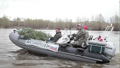 Новосибирские волонтёры спасают популяцию рыб в устье реки Ини