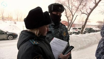 Сумма взысканных алиментов в 2025 году достигла рекордных значений