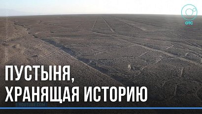 30 древних захоронений за 10 дней. Новосибирский археолог побывал в уникальной экспедиции в Перу