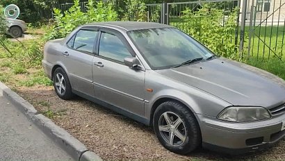 В Новосибирске борются с парковками на газонах с помощью системы "ПаркНет"