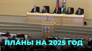 Правительство Новосибирской области определилось с планами на 2025 год