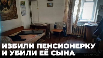 За избиение пенсионерки и убийство её сына трое новосибирцев пойдут под суд