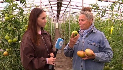 Погодные условия встревожили дачников и садоводов. Как сохранить урожай?