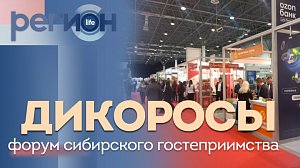 Регион LIFE | Дикоросы.Форум Сибирского гостеприимства | ОТС LIVE — прямая трансляция