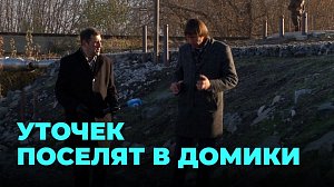 В пригороде Новосибирска скоро появится экопарк с домиками для уточек