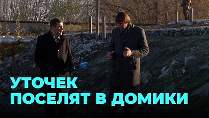 В пригороде Новосибирска скоро появится экопарк с домиками для уточек