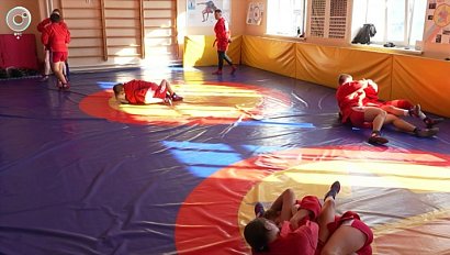 Секция самбо откроется в школе Дзержинского района Новосибирска