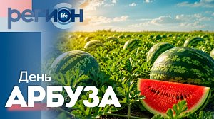 День арбуза | ОТС LIVE — прямая трансляция