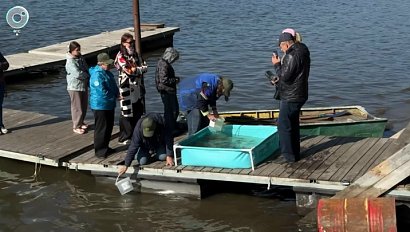 НОВОСТИ в 20:30 – 30 сентября 2026