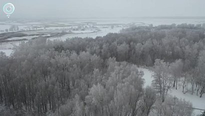 Границы Новосибирской области впервые внесли в госреестр. Зачем геодезисты и картографы уточняли карты территорий?