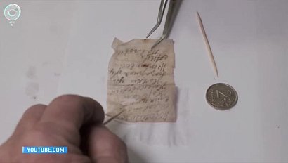 Останки погибшего во время Великой Отечественной войны новосибирца нашли под Тверью