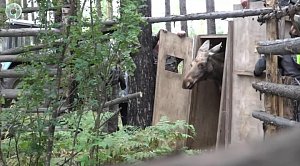 НОВОСТИ в 20:30 – 04 сентября 2026