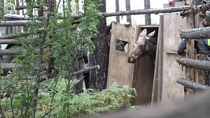 НОВОСТИ в 20:30 – 04 сентября 2026