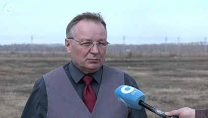 Жители села Квашнино нашли скотомогильник на берегу озера Чаны