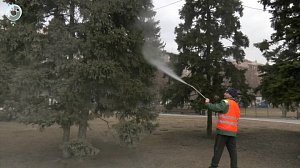 В Новосибирске начали весеннюю уборку памятников и деревьев