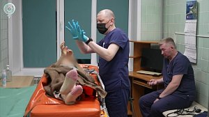 Минздрав посвятил неделю борьбе с инсультом