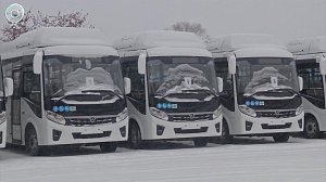 Сто новых автобусов привезли в Новосибирск из Татарстана. Когда машины выйдут на городские маршруты?