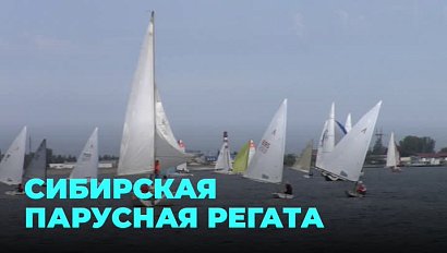 Соревнования по парусному спорту проходят на Новосибирском водохранилище