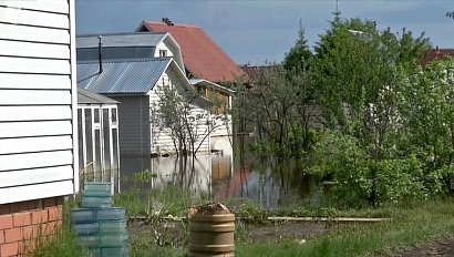 Дачным участкам в Советском и Первомайском районах Новосибирска вновь грозит подтопление