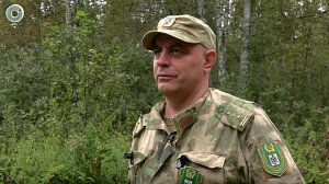 Медведи выходят к людям: что происходит в Новосибирской области