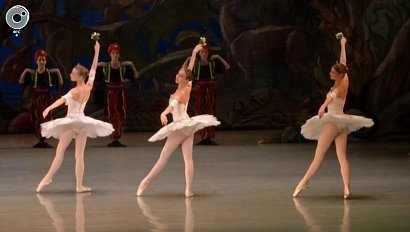 Новосибирское государственное хореографическое училище празднует 65-летие