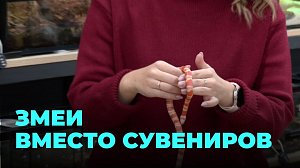 Змея на Новый год: оригинальный подарок или головная боль?