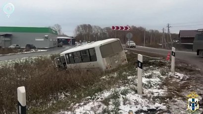 Рейсовый автобус вылетел в кювет в Новосибирской области