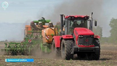 Аграрии Новосибирской области ускорили посевную из-за плохой погоды