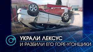 Двое угонщиков "Лексуса" врезались в ассенизаторскую машину и протаранили забор в Венгерово