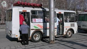 В Новосибирской области начнут работу первые дачные маршруты