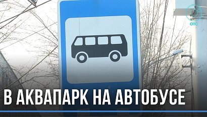 В Аквапарк на автобусе: новая остановка появится в Новосибирске