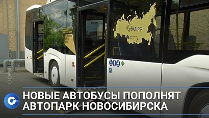 С комфортом по Новосибирску: автопарк автобусов увеличат