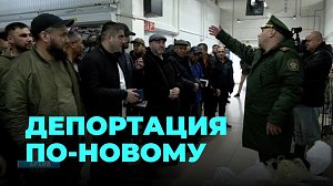 Новые законы для мигрантов: что изменилось