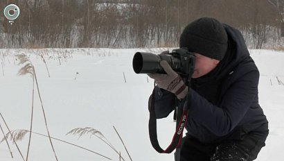 Новосибирский фотограф запечатлел зимние чудеса природы