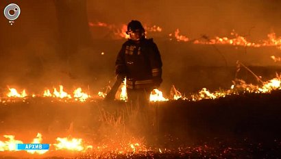 Особый противопожарный режим объявили в Новосибирской области