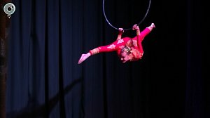 Межрегиональный фестиваль воздушной гимнастики прошёл в Новосибирске