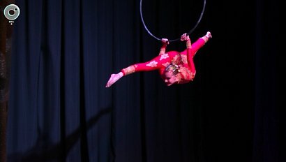 Межрегиональный фестиваль воздушной гимнастики прошёл в Новосибирске