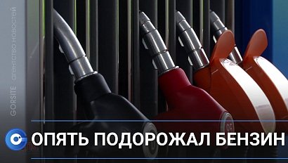 Опять растут цены на бензин в Новосибирске?