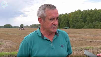 Уборочная кампания в Новосибирской области набирает обороты