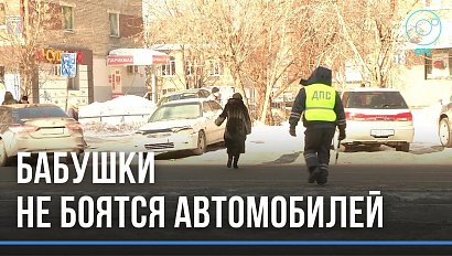 Около тысячи человек стали нарушителями ПДД в Новосибирской области