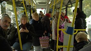 Депутаты предложили ввести единую карту для бесплатного проезда врачей и учителей