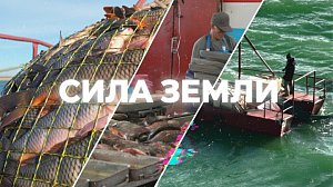 Программа "СИЛА ЗЕМЛИ" | 13 ноября 2025 | Телеканал ОТС