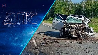 Программа "ДПС: Дорога. Перекресток. Судьба" | 14 июля 2025 | Телеканал ОТС