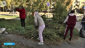 120 тонн мусора собрали жители Бердска на субботнике