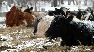 НОВОСТИ в 18:30 – 23 марта 2026