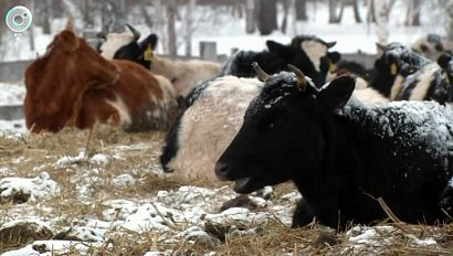 НОВОСТИ в 18:30 – 23 марта 2026