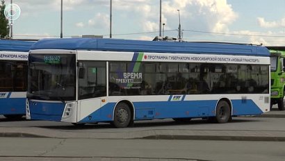 Муниципальный транспорт Новосибирской области ждёт обновление. Сколько автобусов купят?