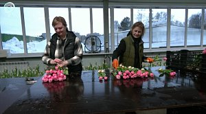 НОВОСТИ УТРА – 20 февраля 2026