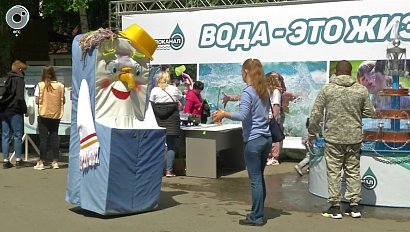 День эколога в Новосибирске отметили масштабным фестивалем "Экомир"